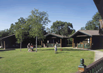 Pinewood in Lyme Regis, Dorset, South West England
